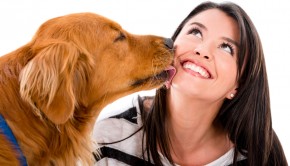 Dreaming in Libro: How A Good Dog Tamed A Bad Woman