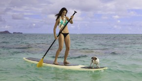 Hawaii – Visting with your pet