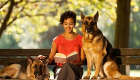 Finding A Pet Sitter