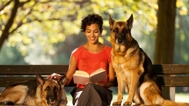Finding A Pet Sitter