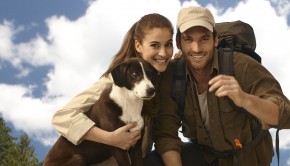 Pet Friendly Hobbies