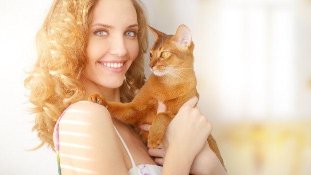 Cats Better Then Boyfriends