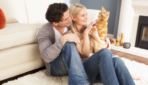 Cats and Relationships