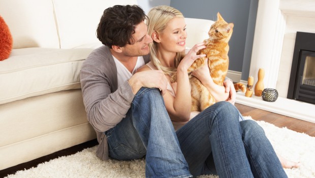 Cats and Relationships