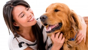 Dog Senses