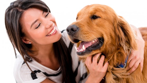 Dog Senses