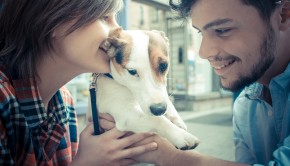Pup Lead To Soul Mate
