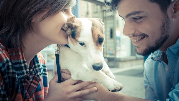 Pup Lead To Soul Mate