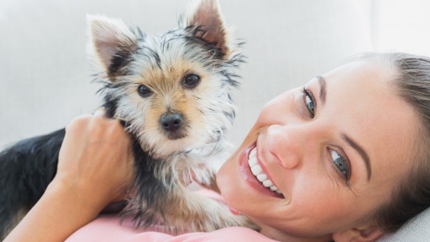 What Pets Say About You