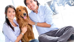 Pet Owners And Dating