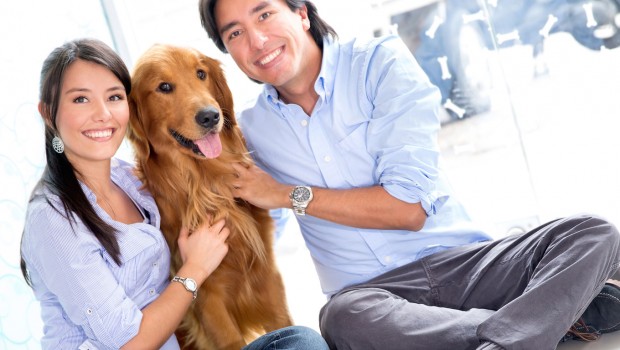 Pet Owners And Dating